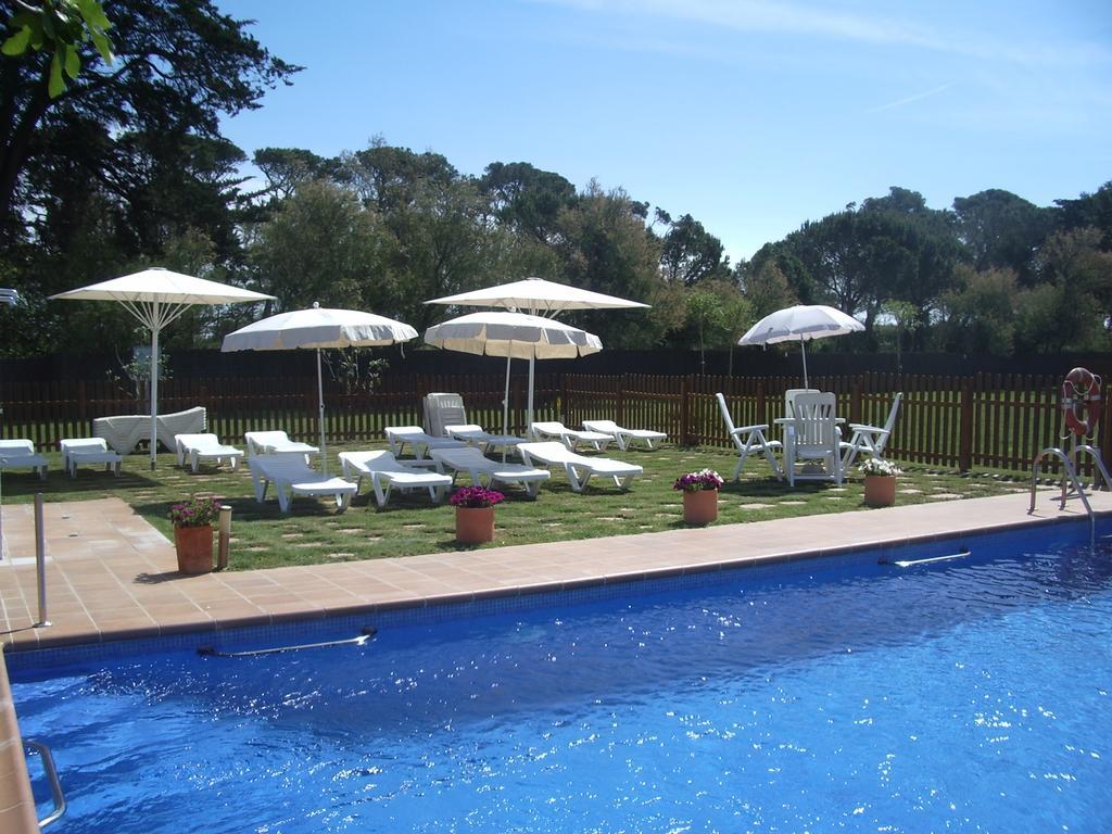 Apartaments La Palmera, Terrace & Pool Sant Marti d'Empuries Eksteriør billede